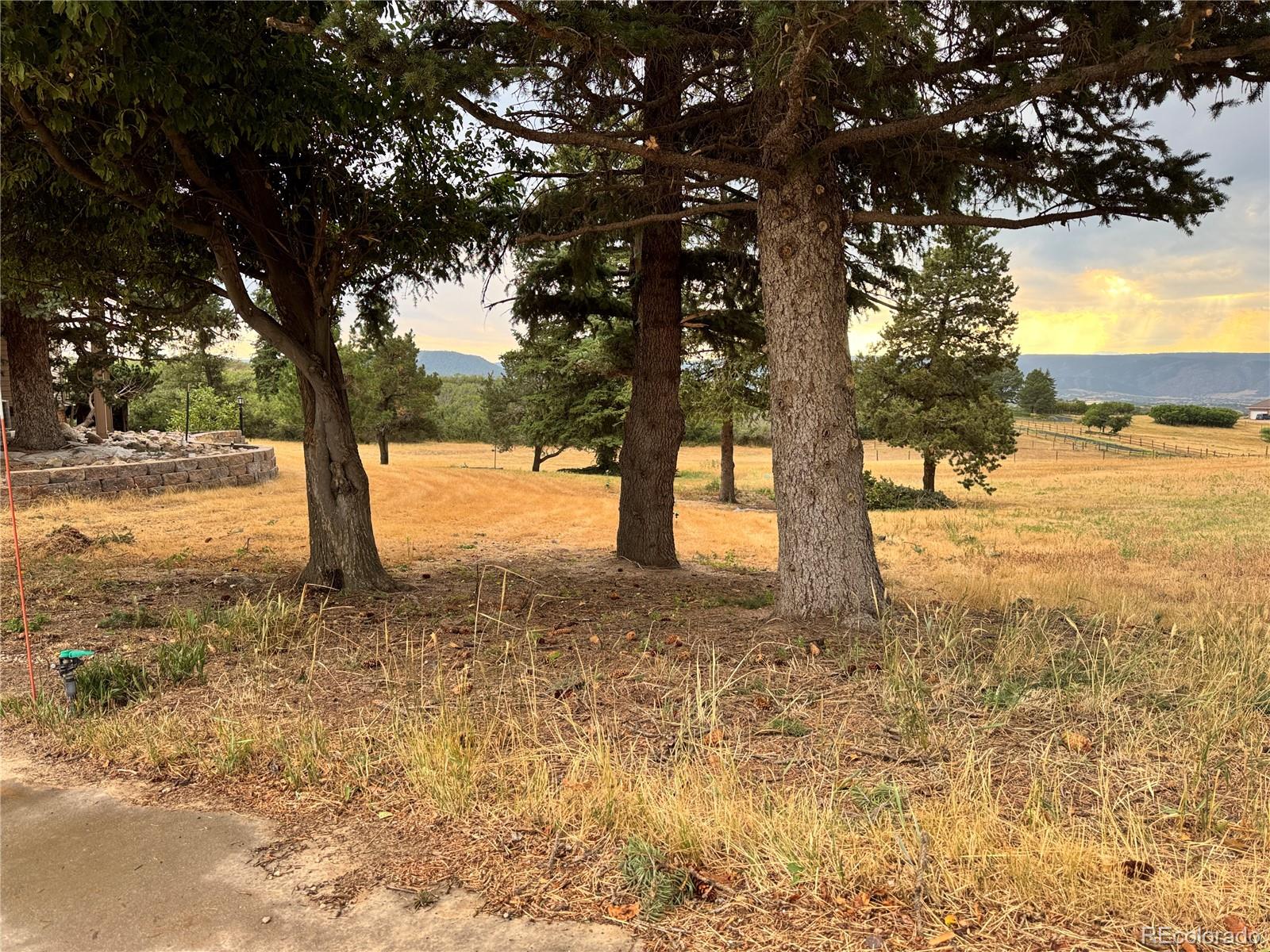 MLS Image #13 for 806  twin oaks road,castle rock, Colorado