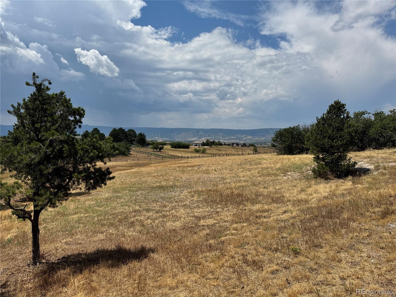 MLS Image #5 for 806  twin oaks road,castle rock, Colorado