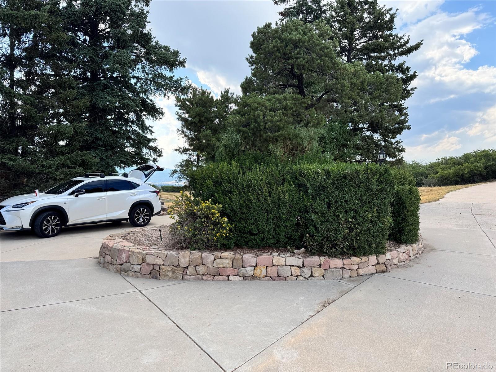 MLS Image #7 for 806  twin oaks road,castle rock, Colorado