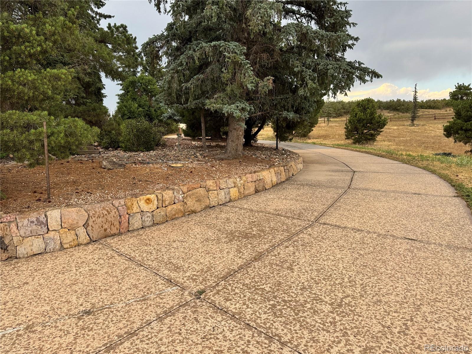 MLS Image #8 for 806  twin oaks road,castle rock, Colorado