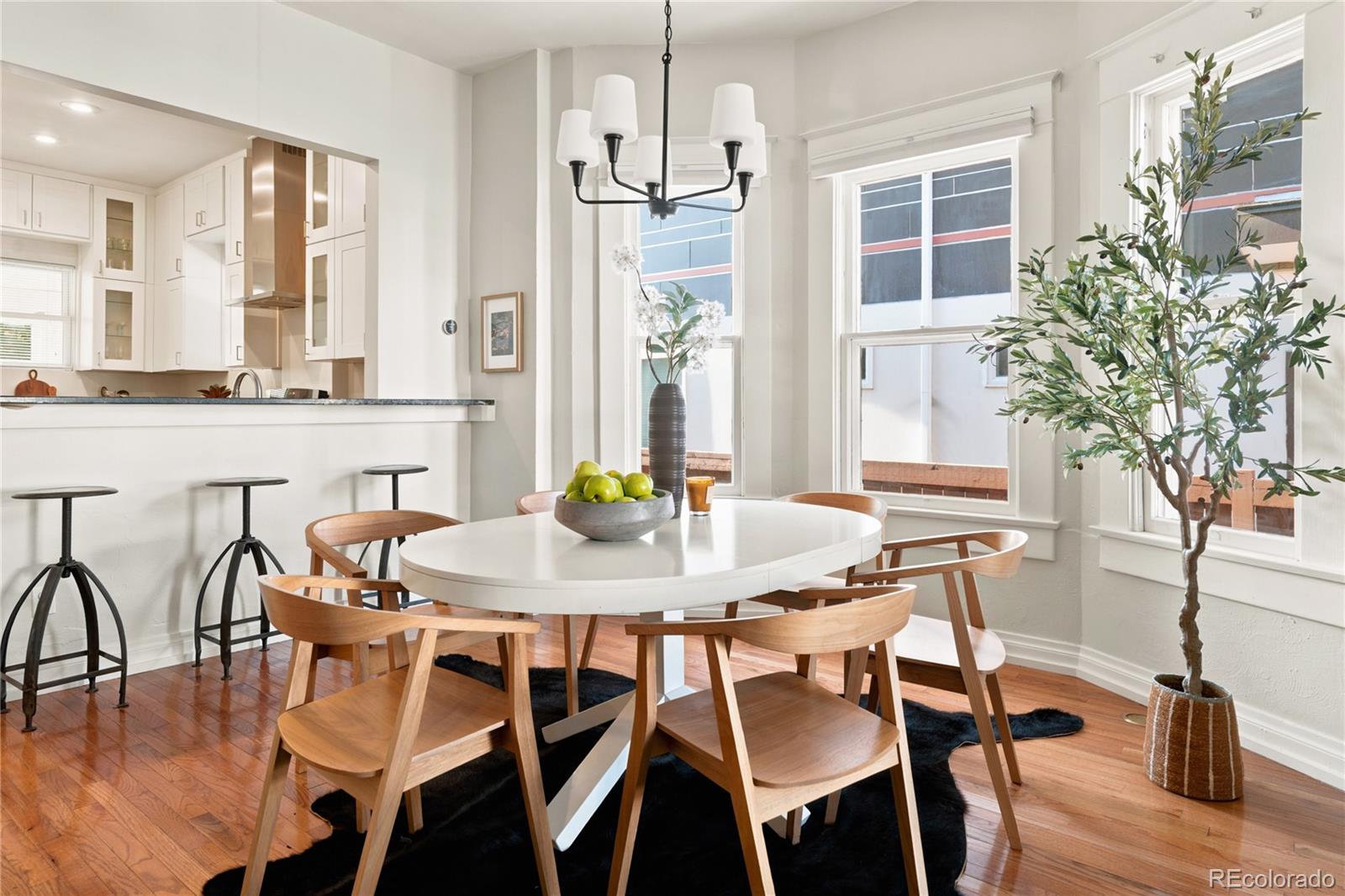 MLS Image #7 for 3526  quivas street,denver, Colorado