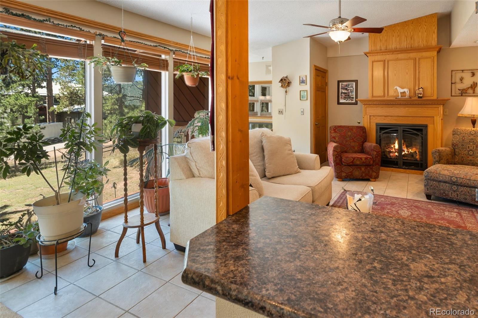 MLS Image #10 for 340  ponderosa court,woodland park, Colorado