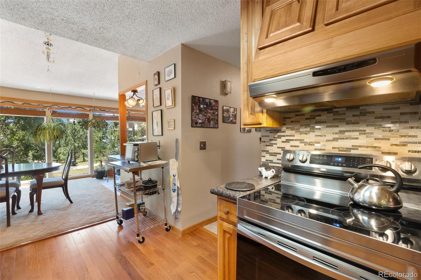 MLS Image #11 for 340  ponderosa court,woodland park, Colorado