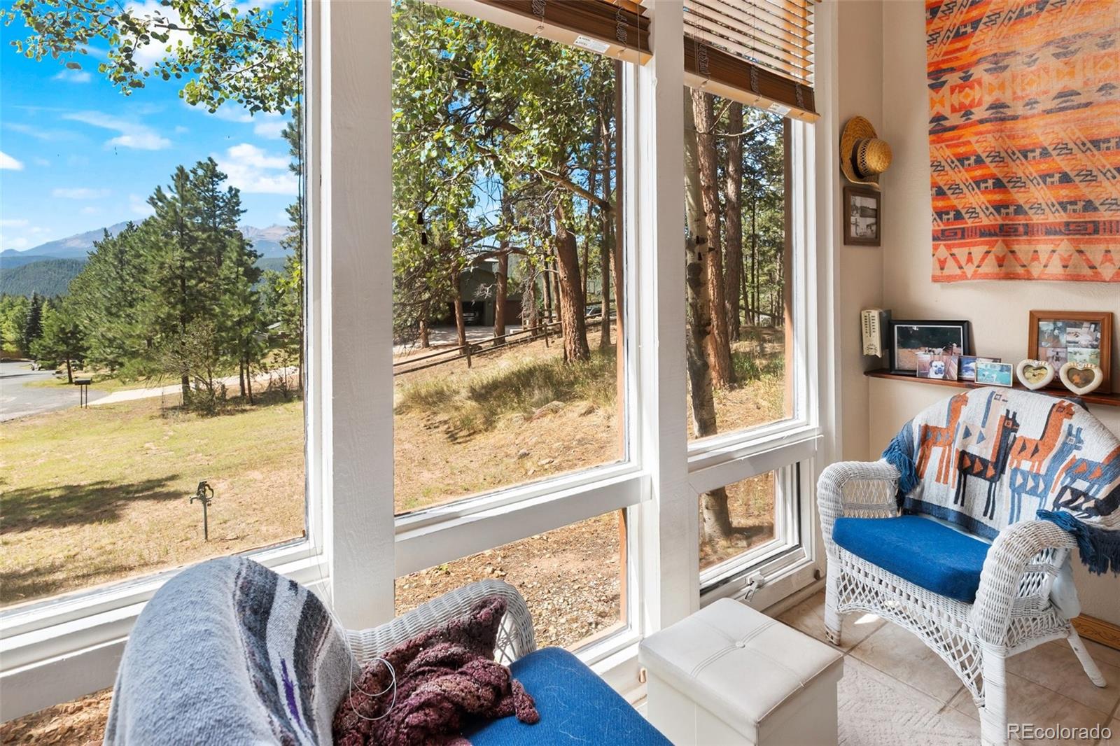 MLS Image #14 for 340  ponderosa court,woodland park, Colorado