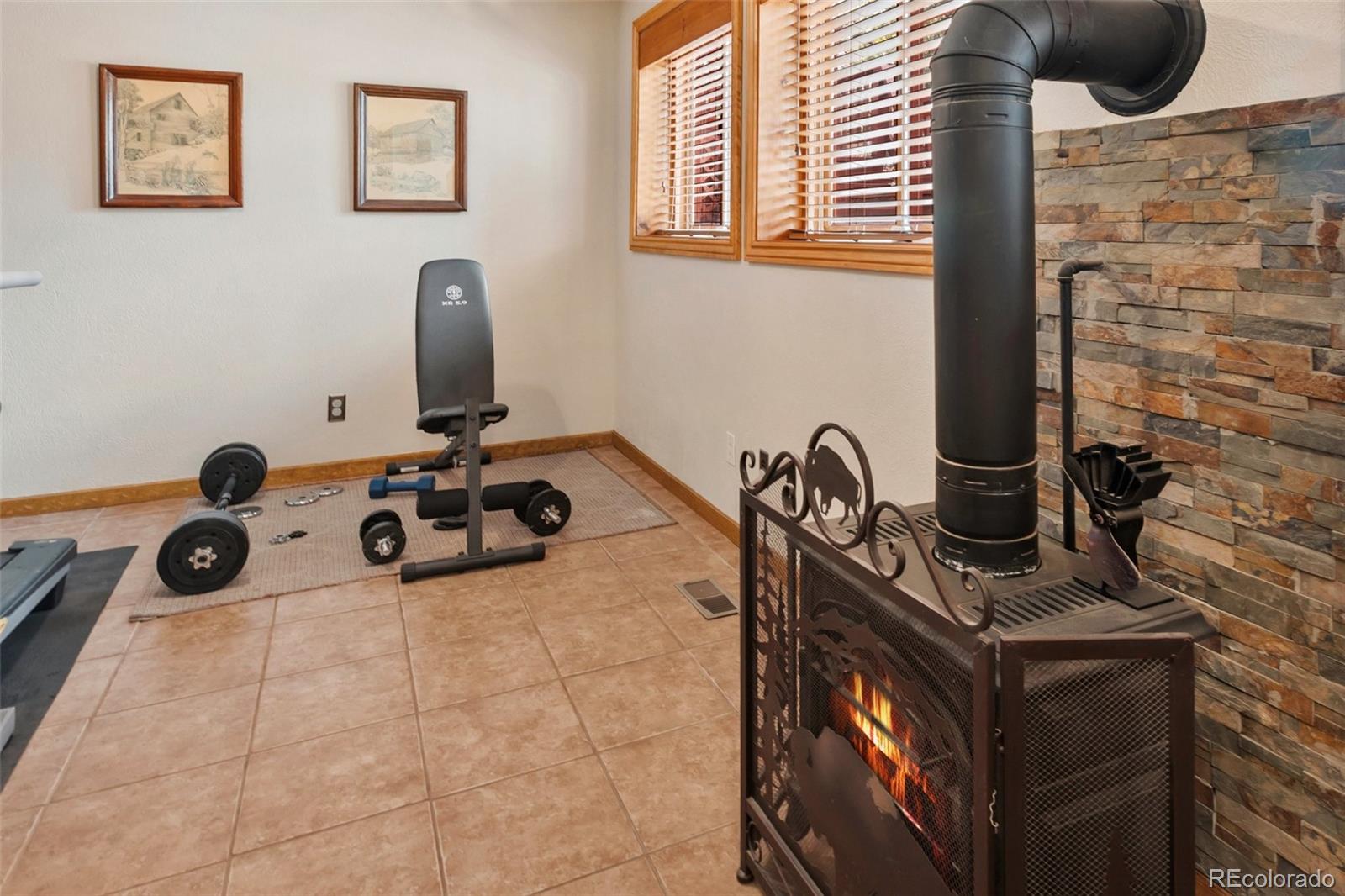 MLS Image #17 for 340  ponderosa court,woodland park, Colorado