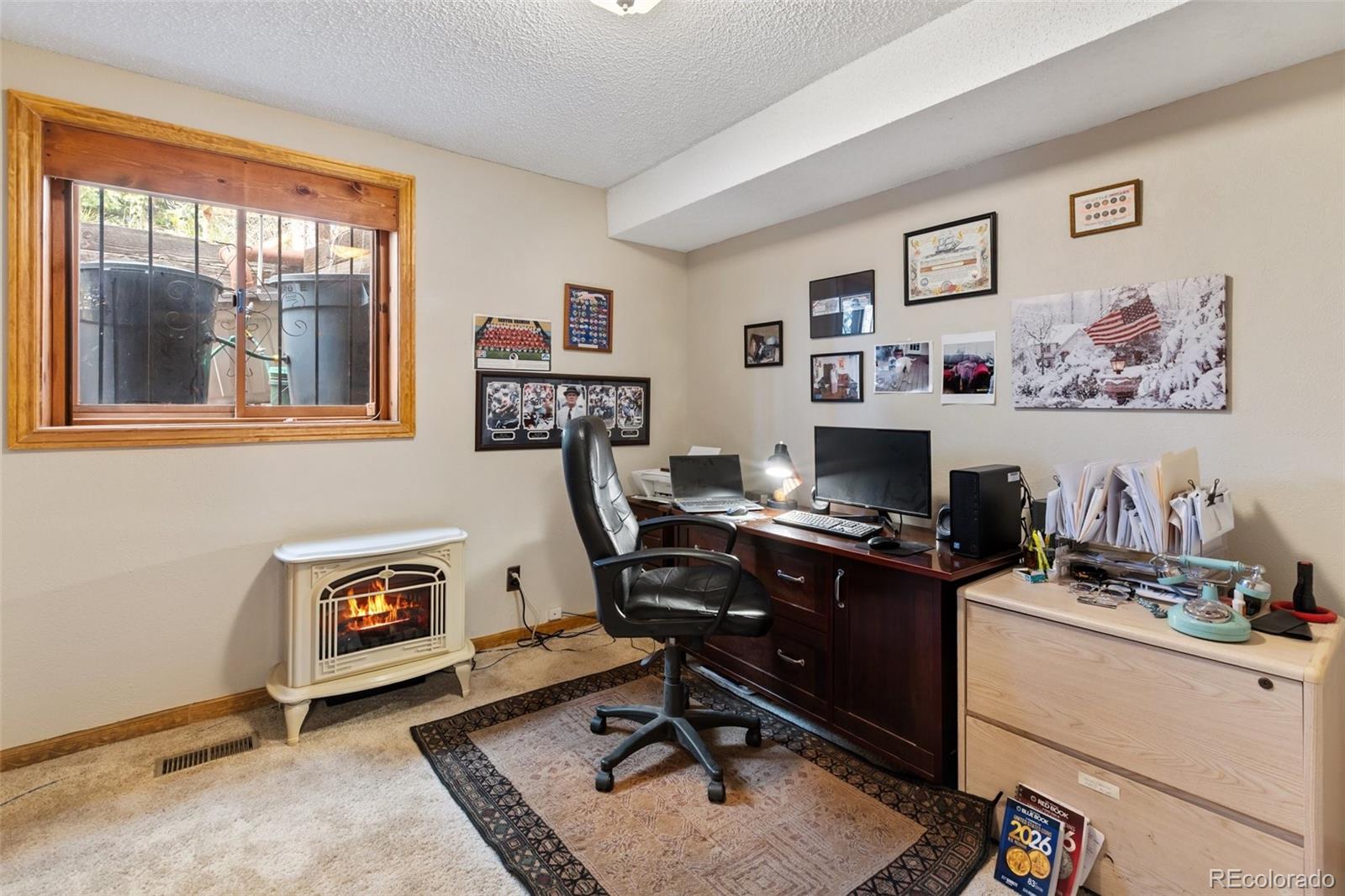 MLS Image #21 for 340  ponderosa court,woodland park, Colorado