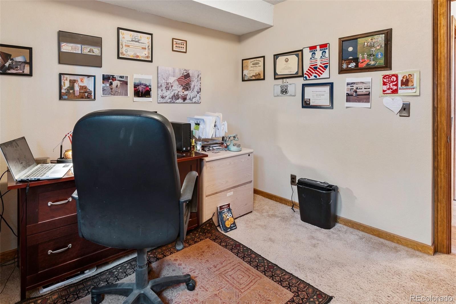 MLS Image #22 for 340  ponderosa court,woodland park, Colorado
