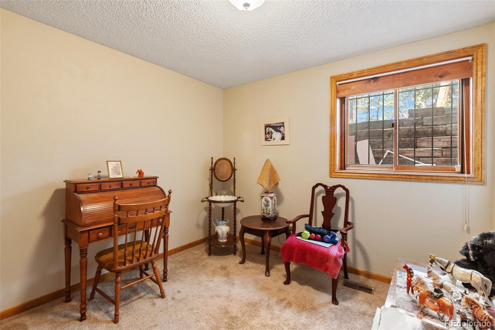 MLS Image #23 for 340  ponderosa court,woodland park, Colorado