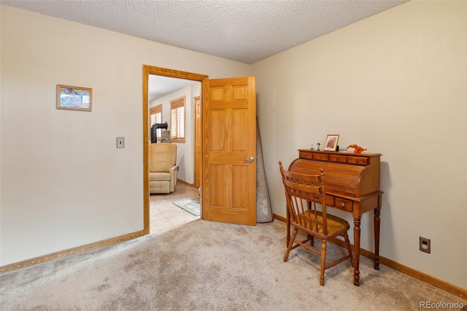 MLS Image #24 for 340  ponderosa court,woodland park, Colorado