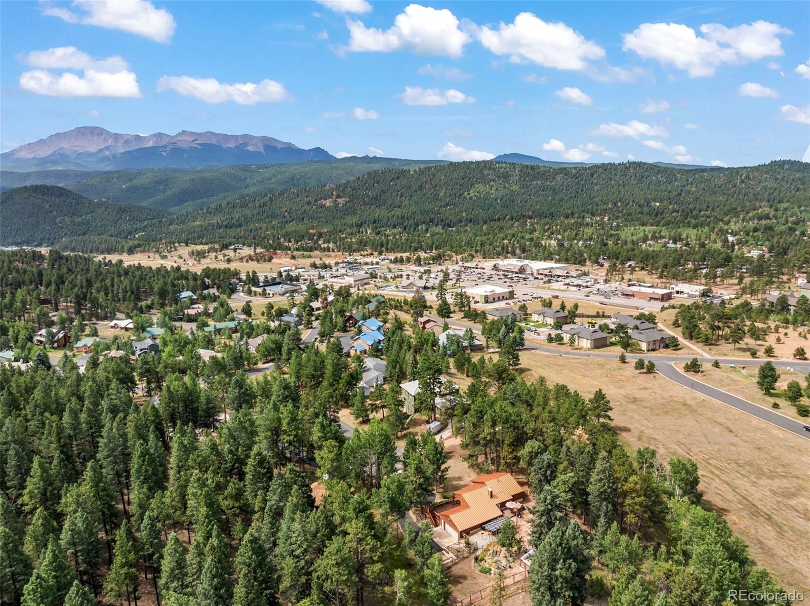 MLS Image #28 for 340  ponderosa court,woodland park, Colorado