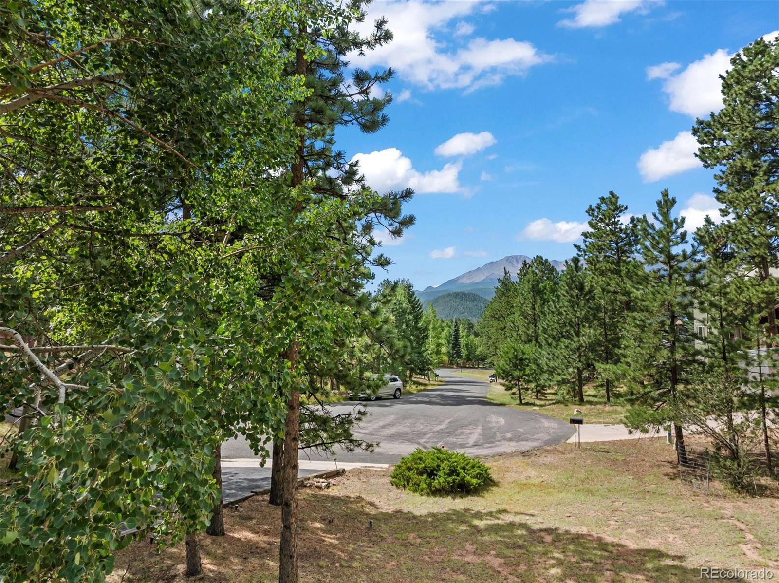 MLS Image #30 for 340  ponderosa court,woodland park, Colorado