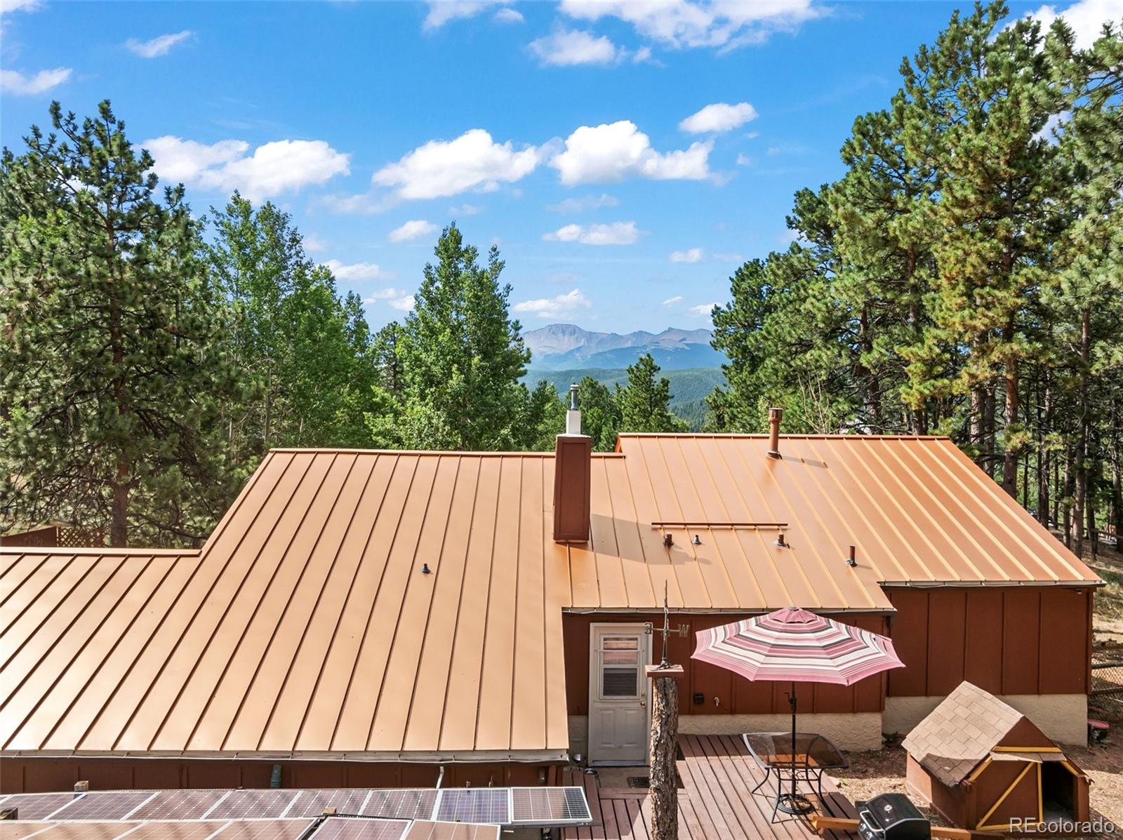 MLS Image #4 for 340  ponderosa court,woodland park, Colorado