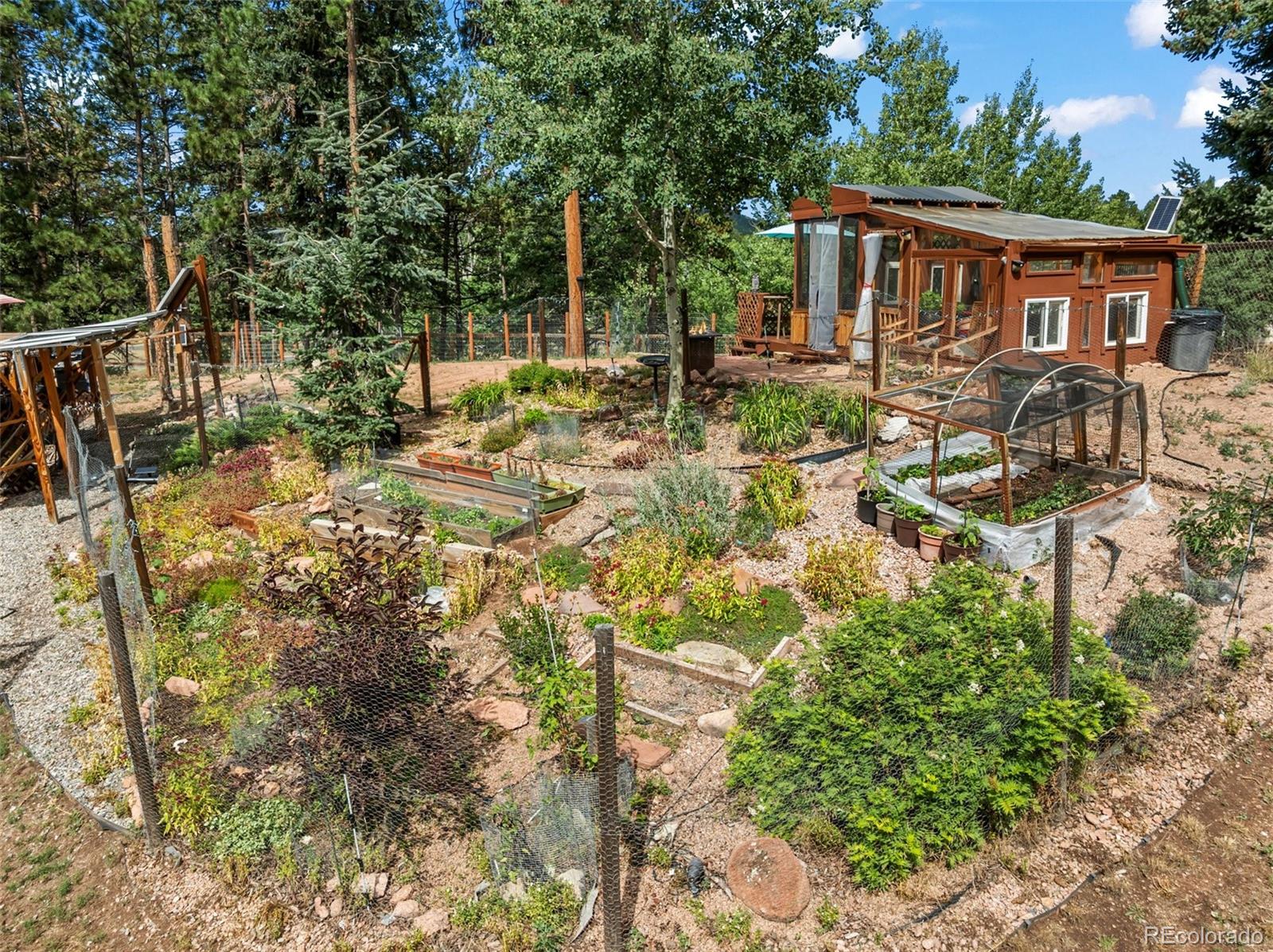 MLS Image #5 for 340  ponderosa court,woodland park, Colorado