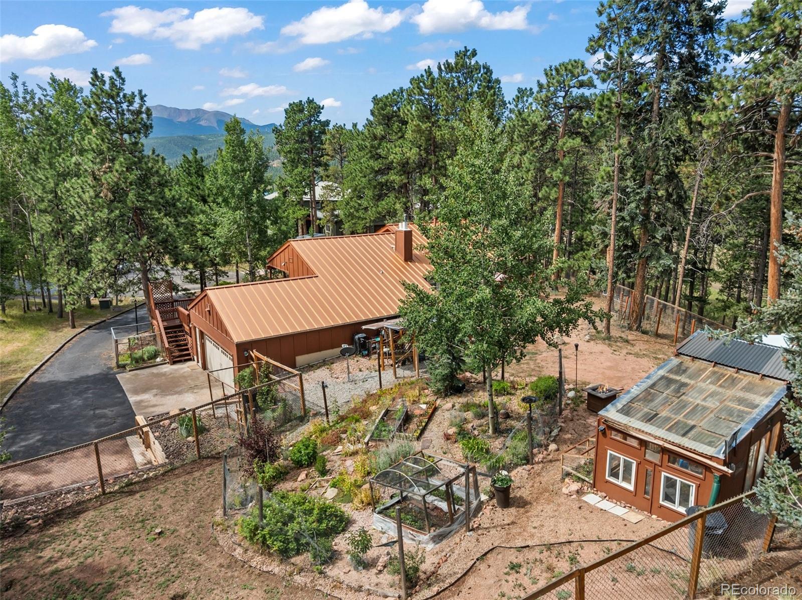 MLS Image #6 for 340  ponderosa court,woodland park, Colorado