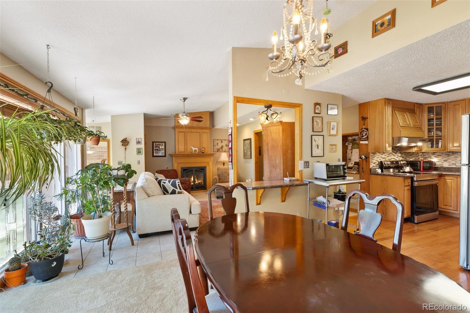 MLS Image #8 for 340  ponderosa court,woodland park, Colorado