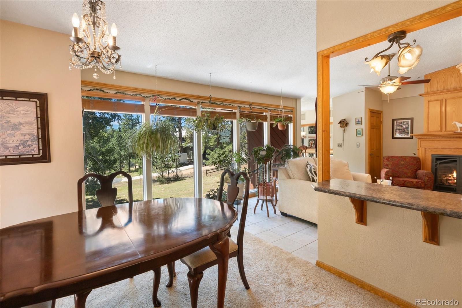 MLS Image #9 for 340  ponderosa court,woodland park, Colorado