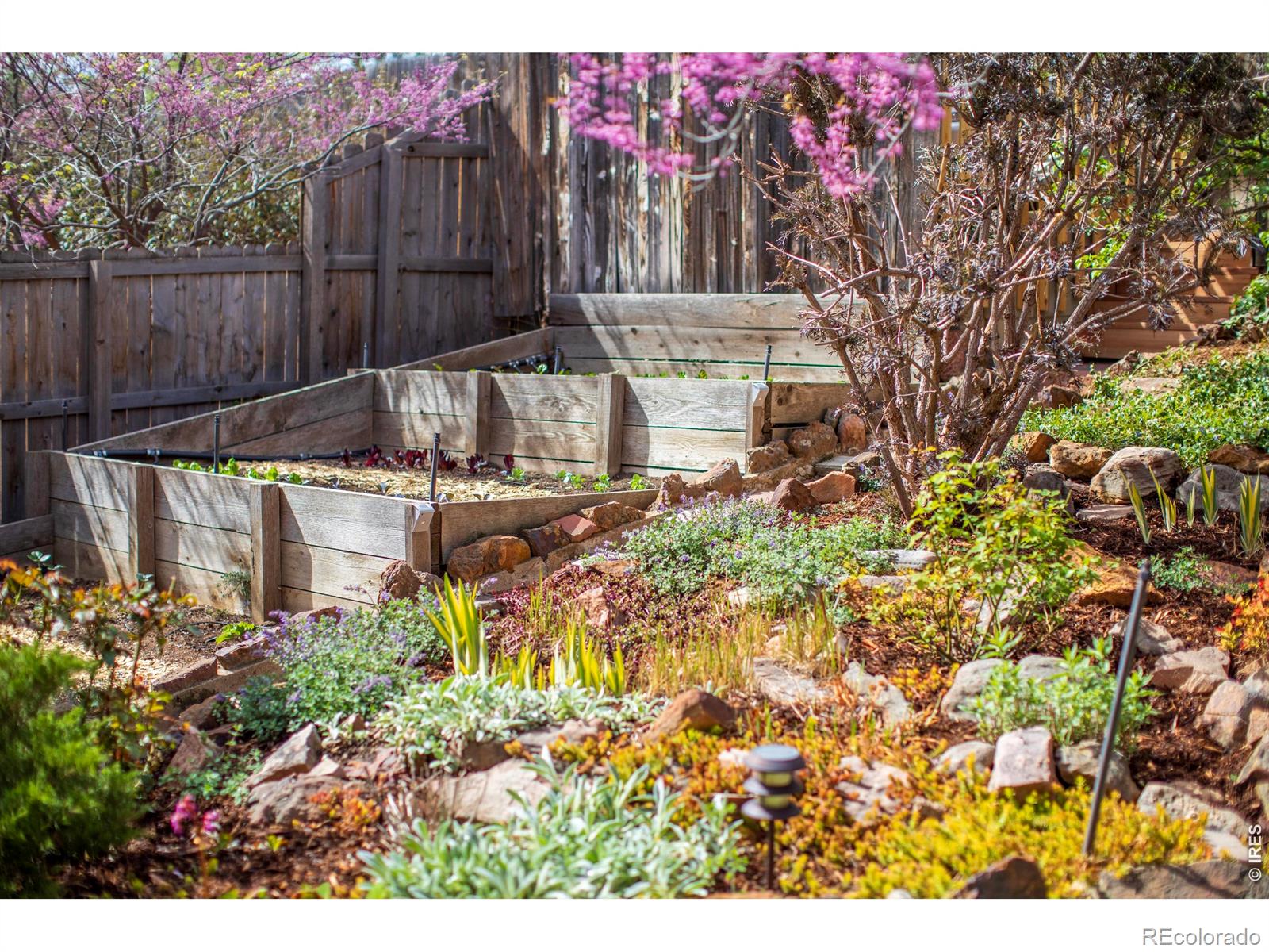 MLS Image #22 for 2447  20th street,boulder, Colorado