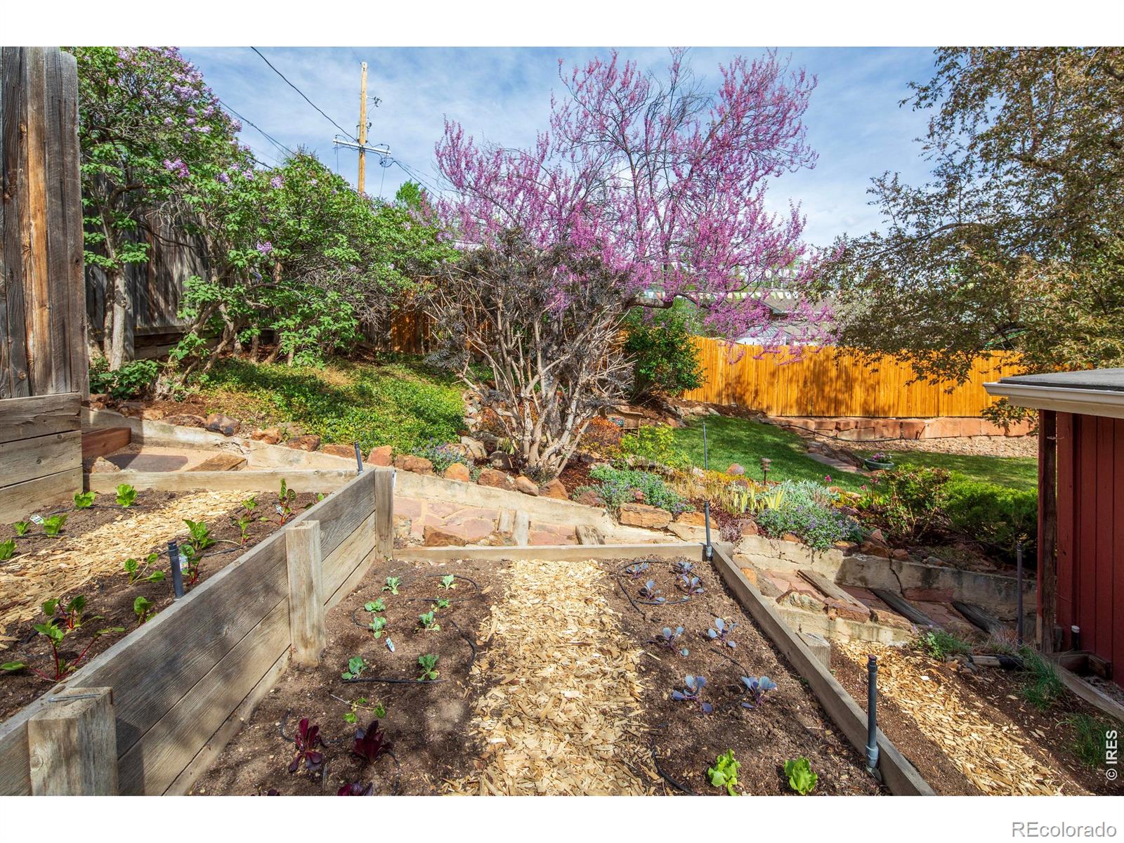 MLS Image #23 for 2447  20th street,boulder, Colorado