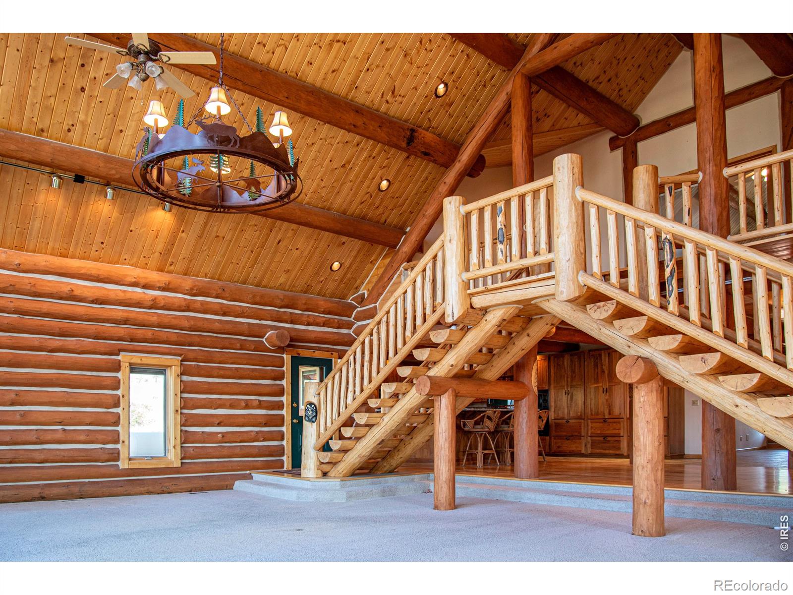MLS Image #11 for 168  mount blanc road,livermore, Colorado