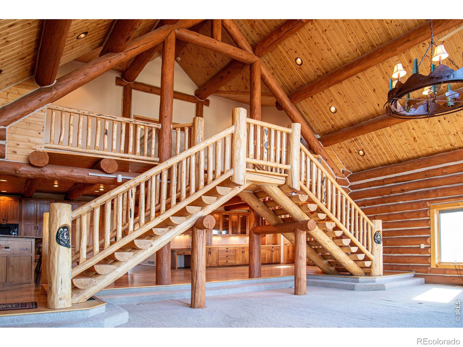 MLS Image #12 for 168  mount blanc road,livermore, Colorado