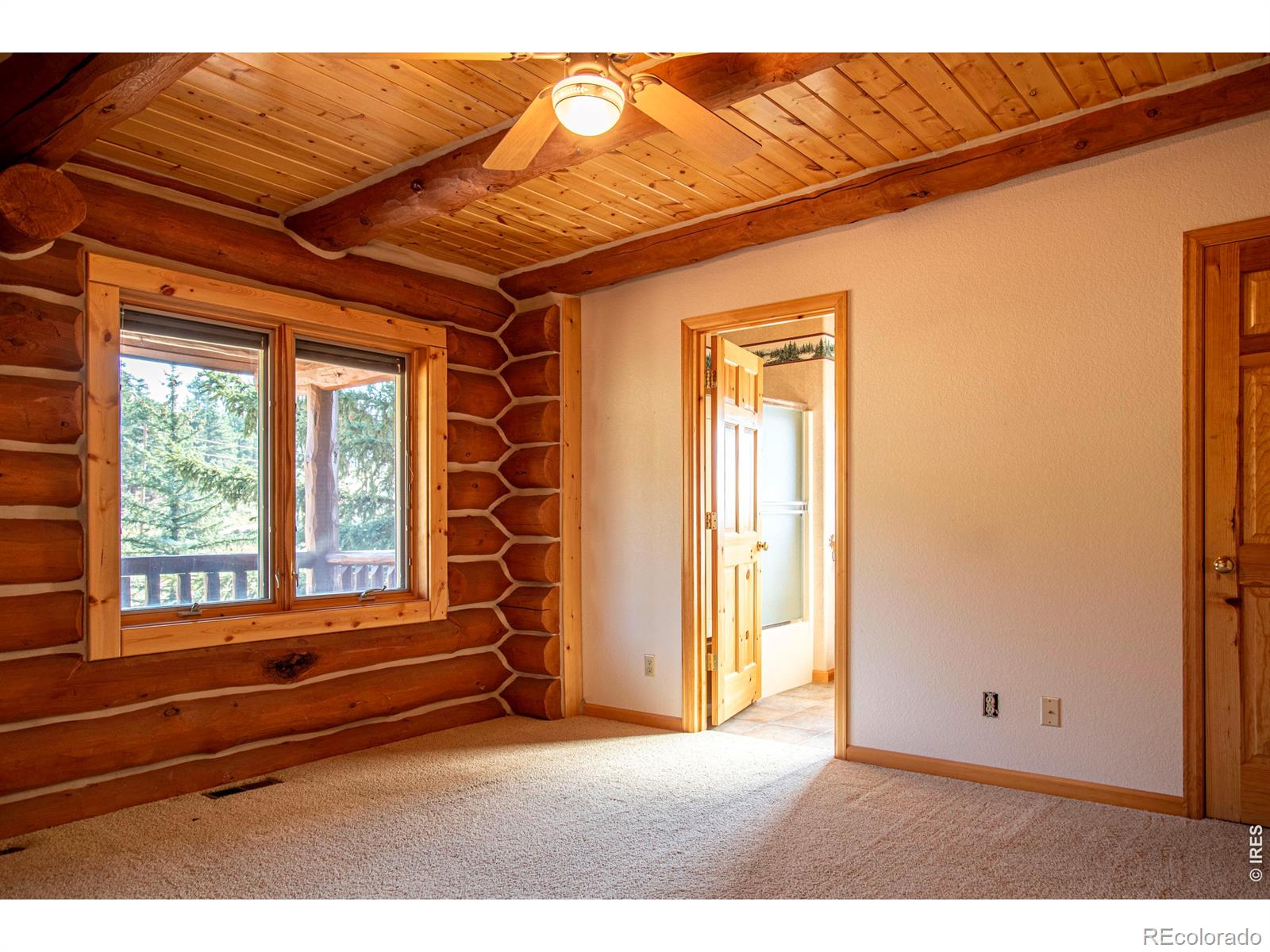 MLS Image #22 for 168  mount blanc road,livermore, Colorado