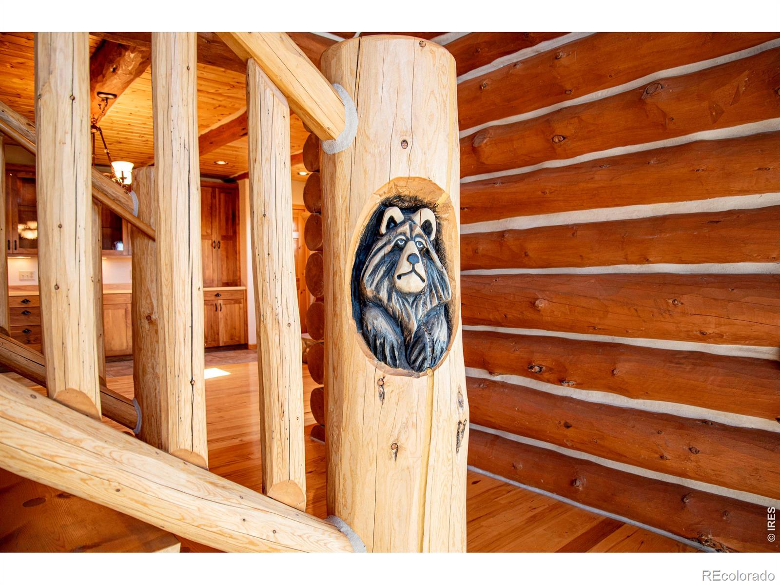 MLS Image #25 for 168  mount blanc road,livermore, Colorado