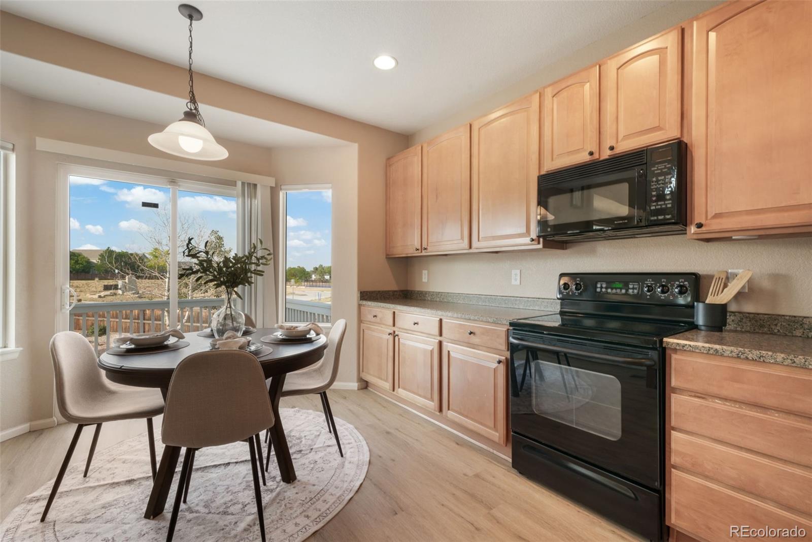 MLS Image #13 for 460  high plains street,castle rock, Colorado