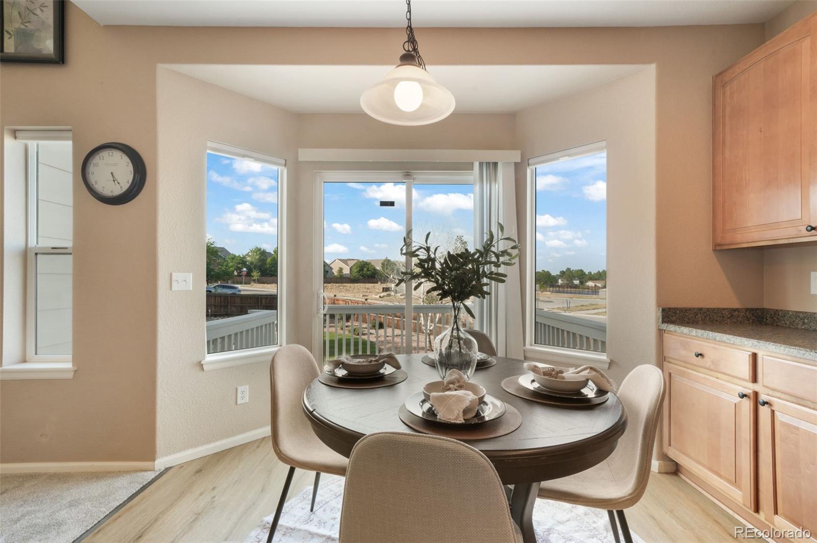 MLS Image #14 for 460  high plains street,castle rock, Colorado