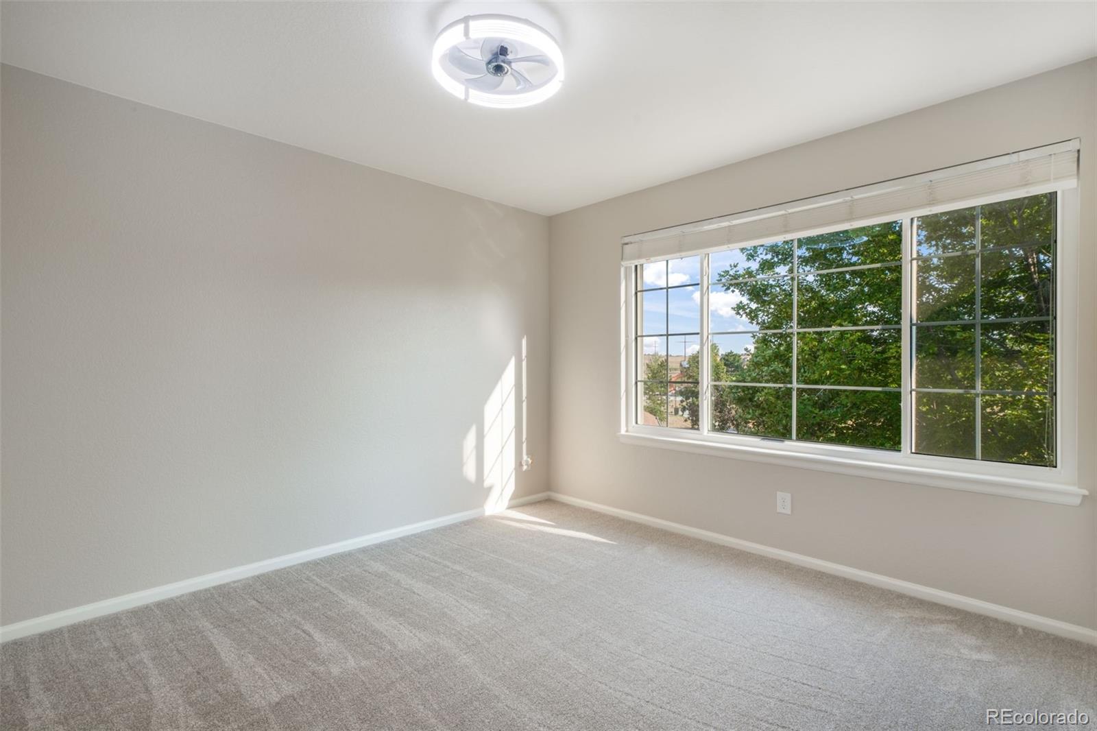 MLS Image #28 for 460  high plains street,castle rock, Colorado