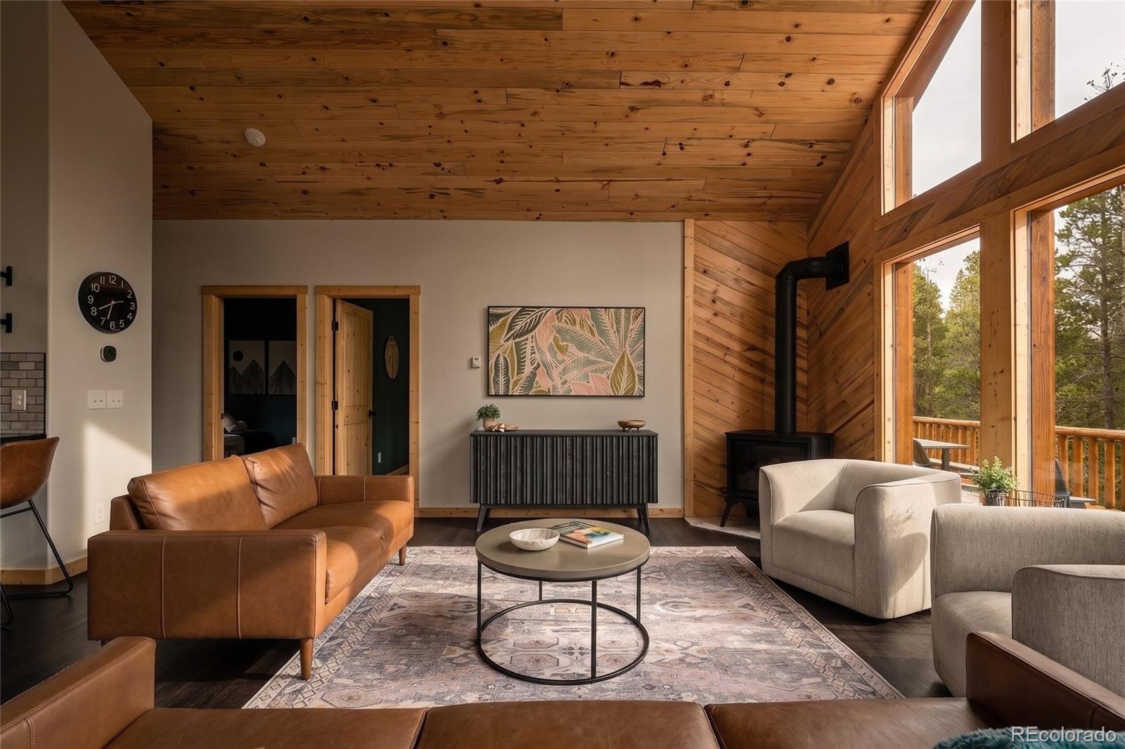MLS Image #10 for 1662  bobcat lane,fairplay, Colorado