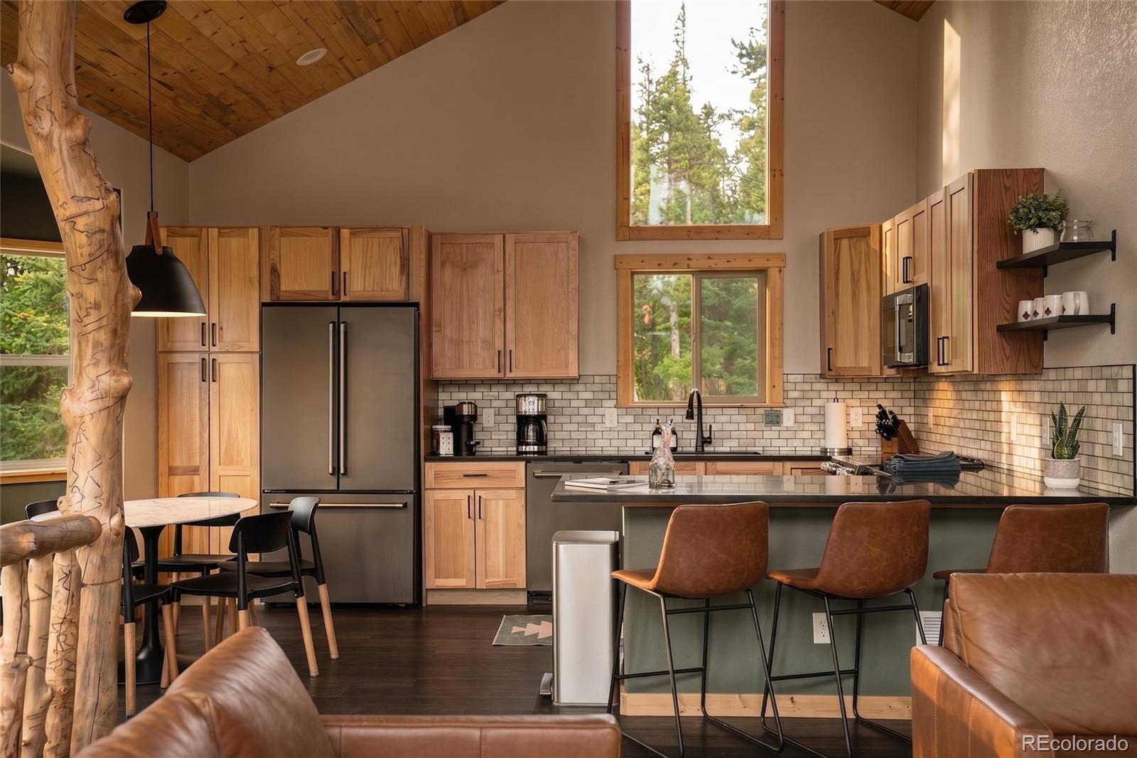 MLS Image #11 for 1662  bobcat lane,fairplay, Colorado