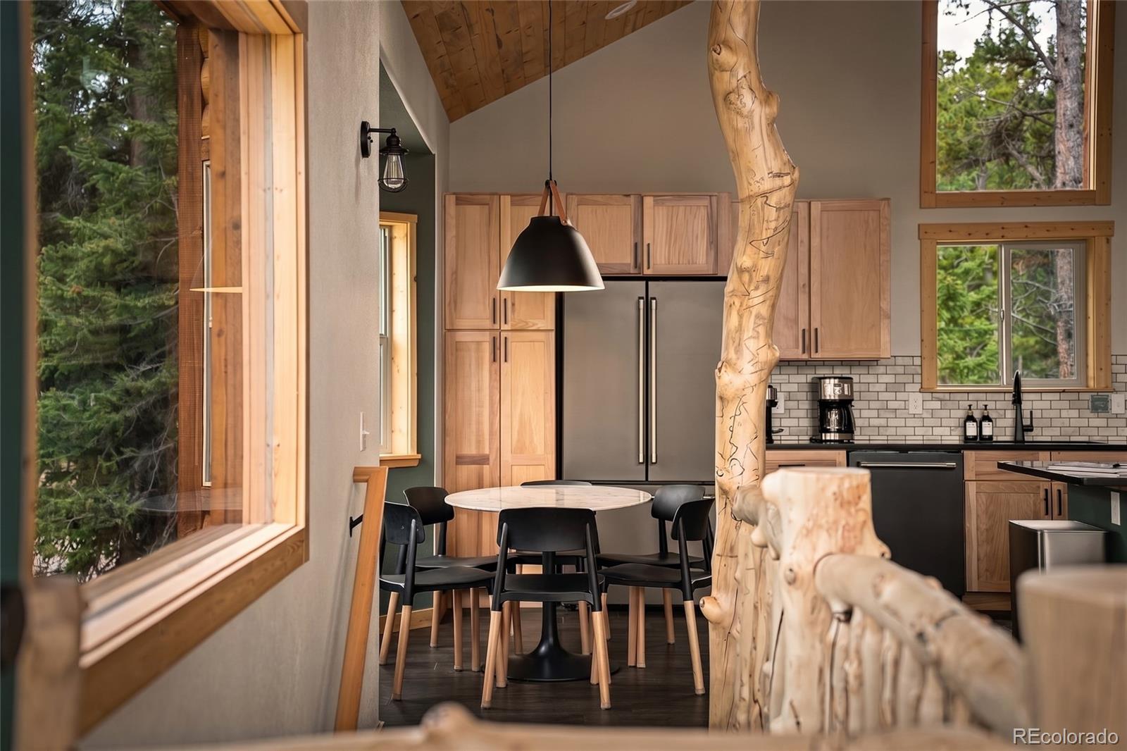 MLS Image #13 for 1662  bobcat lane,fairplay, Colorado