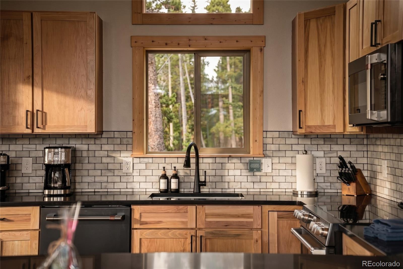 MLS Image #14 for 1662  bobcat lane,fairplay, Colorado