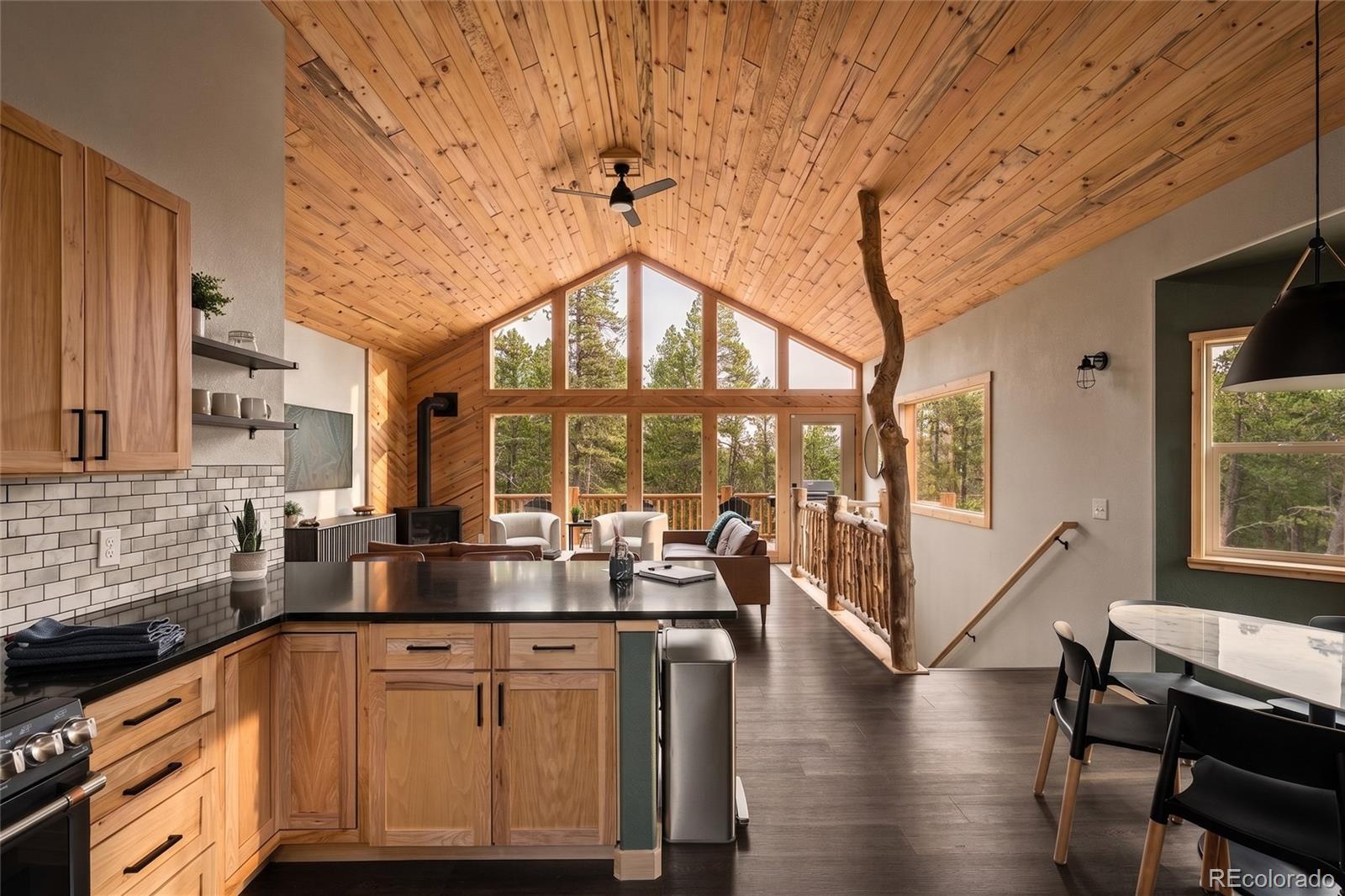 MLS Image #15 for 1662  bobcat lane,fairplay, Colorado