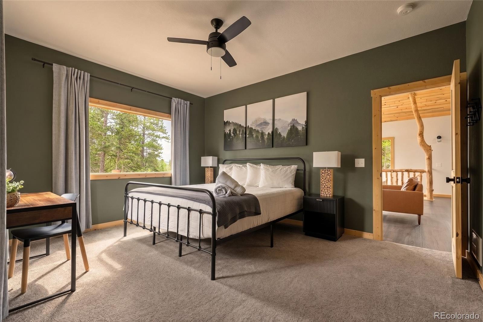 MLS Image #16 for 1662  bobcat lane,fairplay, Colorado