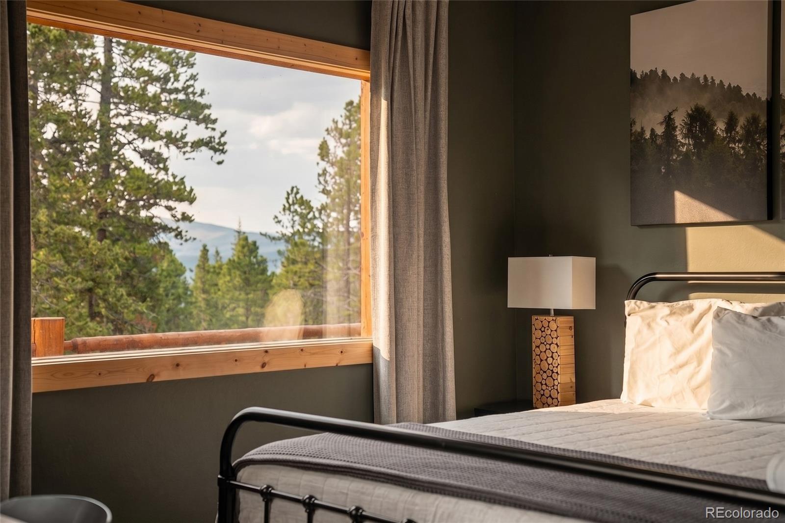 MLS Image #17 for 1662  bobcat lane,fairplay, Colorado