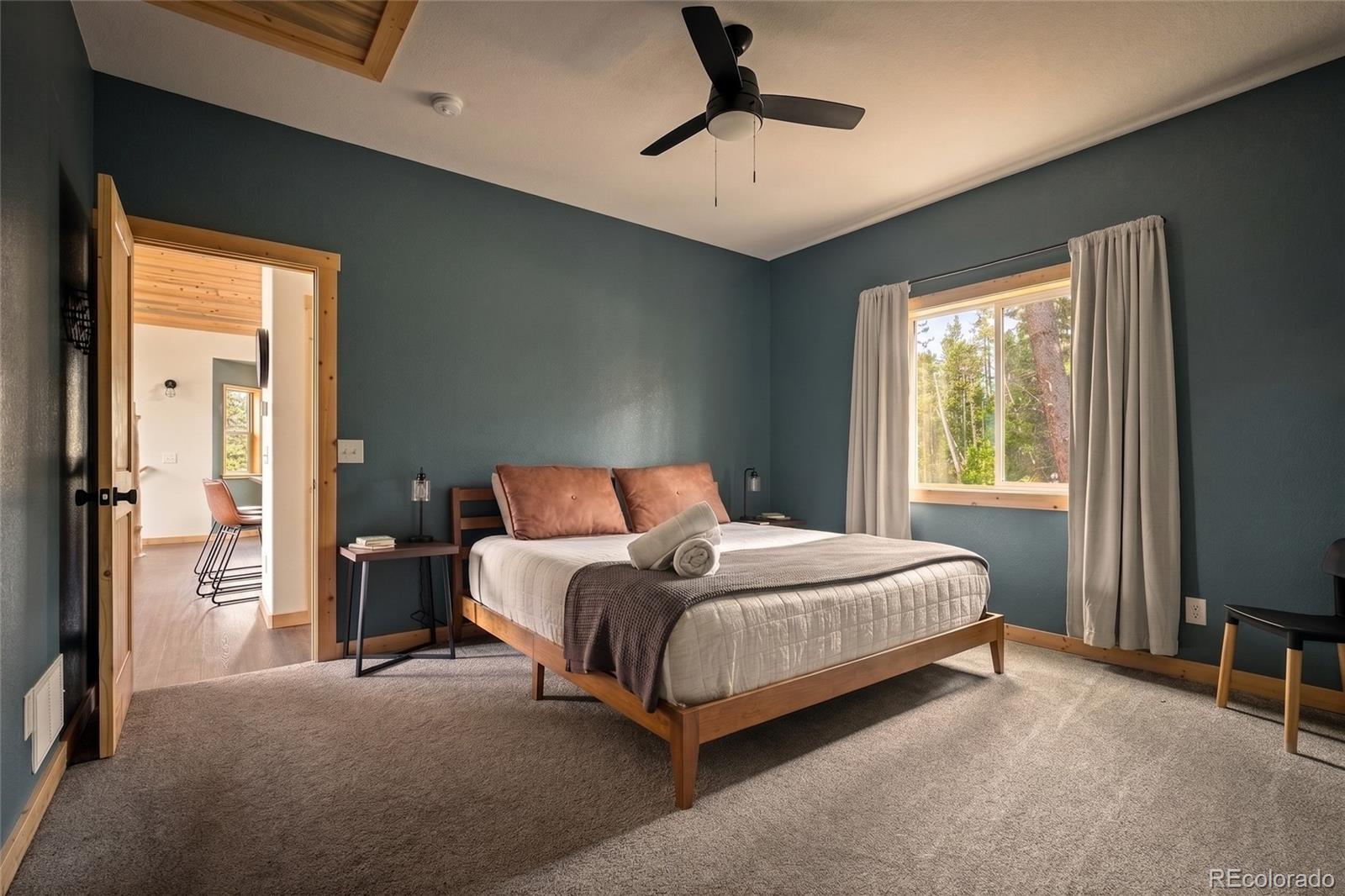 MLS Image #18 for 1662  bobcat lane,fairplay, Colorado