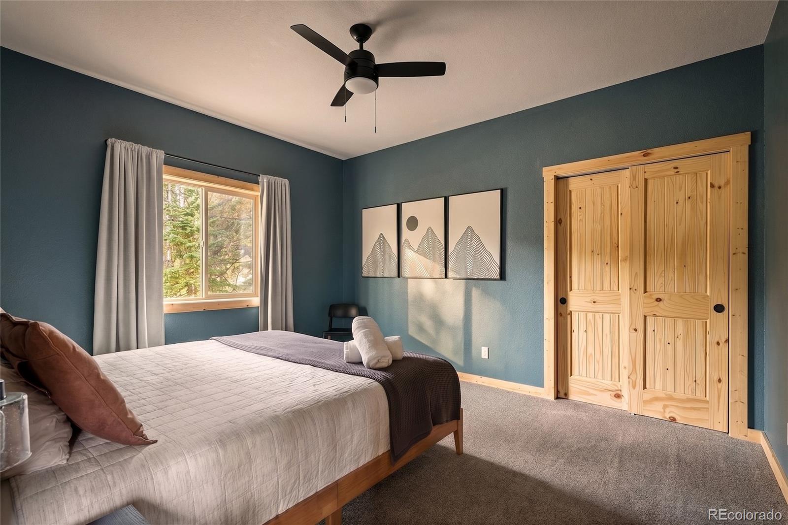 MLS Image #19 for 1662  bobcat lane,fairplay, Colorado