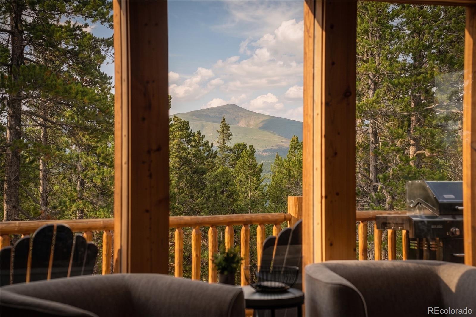 MLS Image #2 for 1662  bobcat lane,fairplay, Colorado