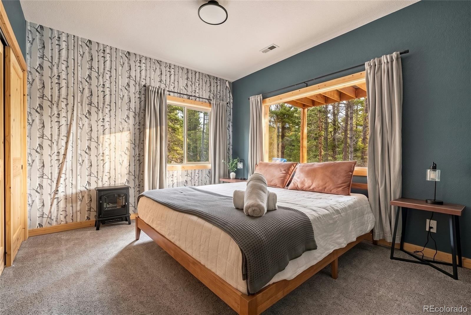 MLS Image #21 for 1662  bobcat lane,fairplay, Colorado