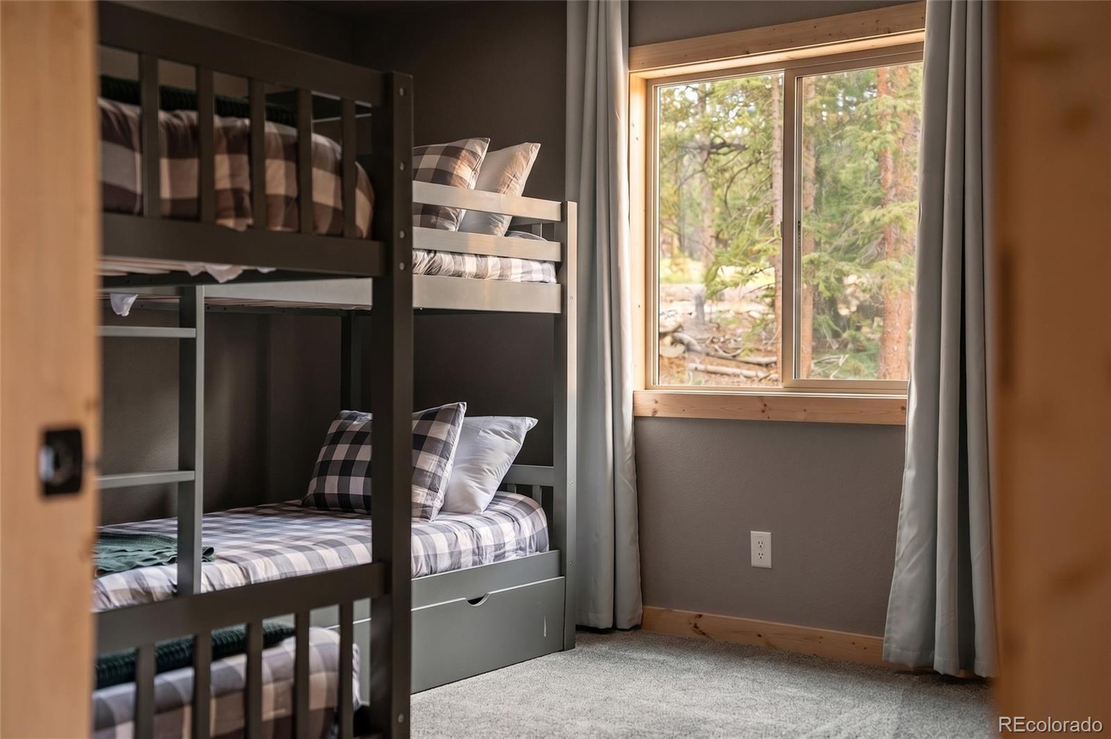 MLS Image #22 for 1662  bobcat lane,fairplay, Colorado