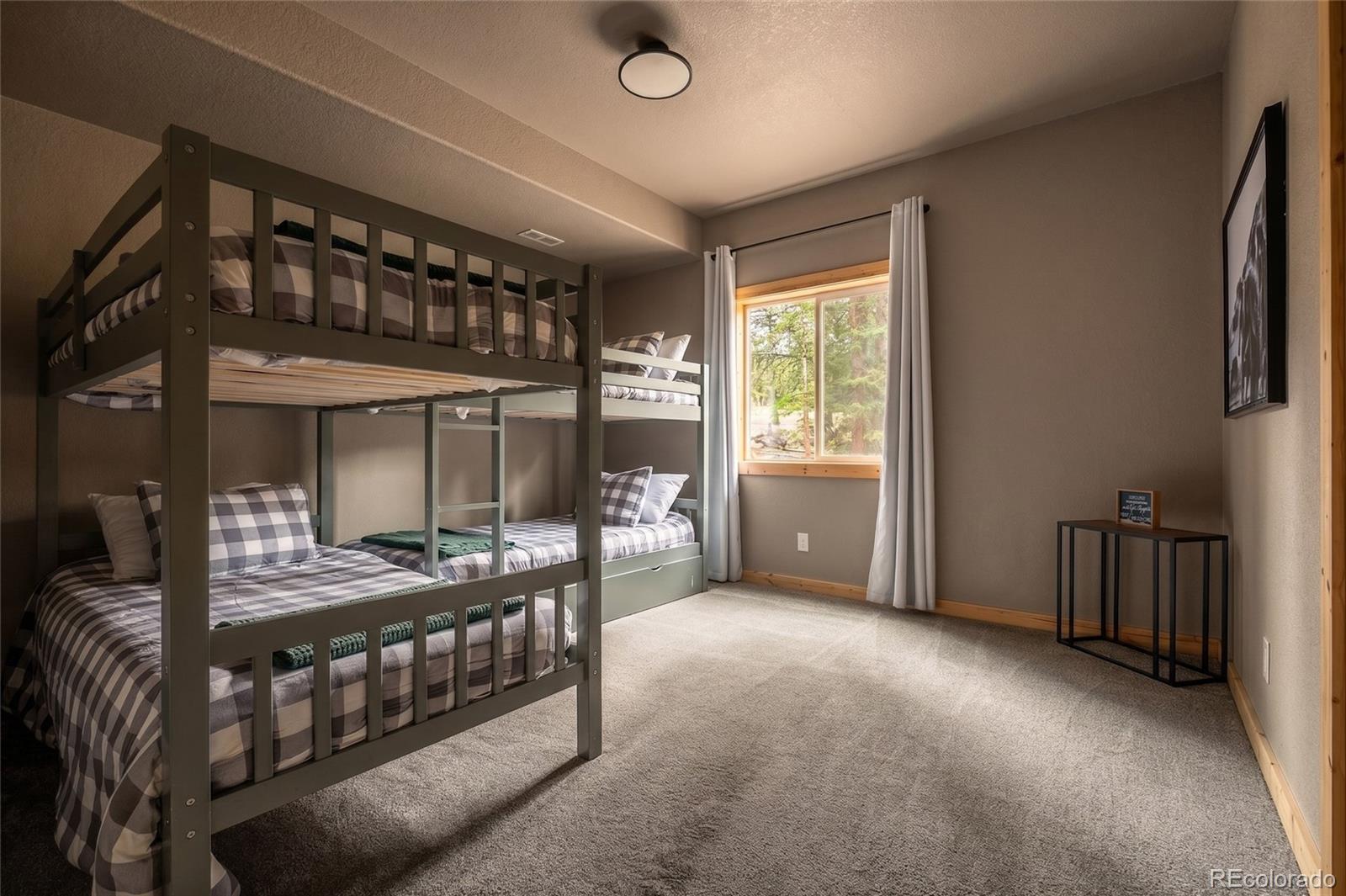 MLS Image #23 for 1662  bobcat lane,fairplay, Colorado