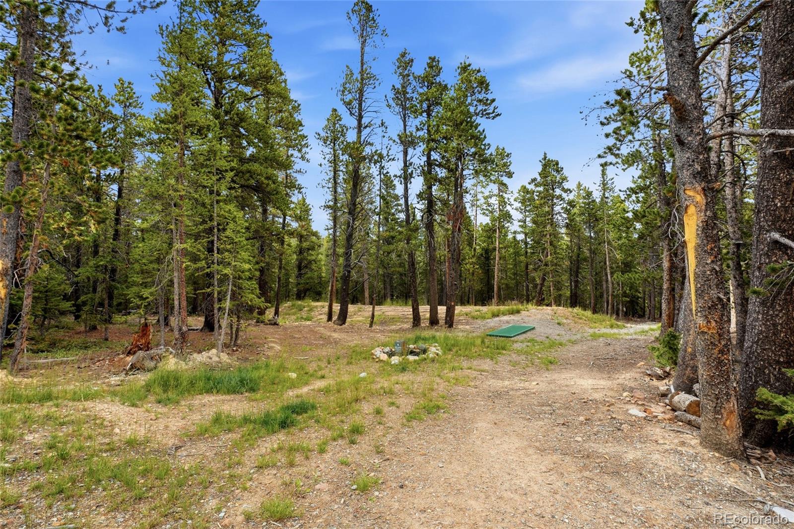 MLS Image #26 for 1662  bobcat lane,fairplay, Colorado