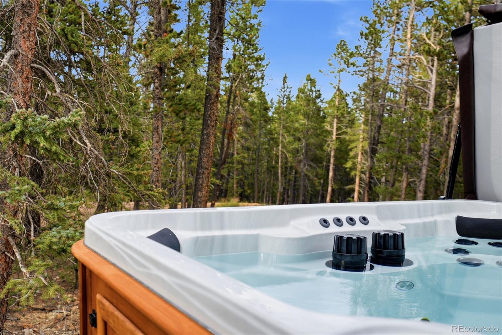 MLS Image #29 for 1662  bobcat lane,fairplay, Colorado