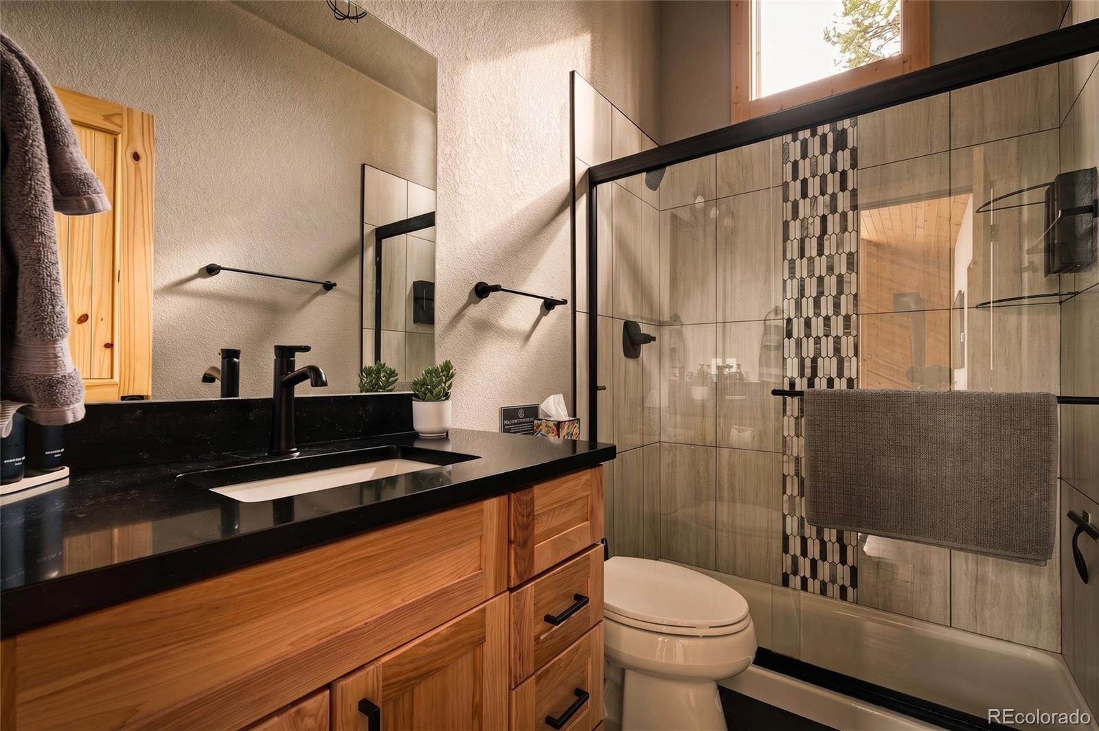 MLS Image #4 for 1662  bobcat lane,fairplay, Colorado