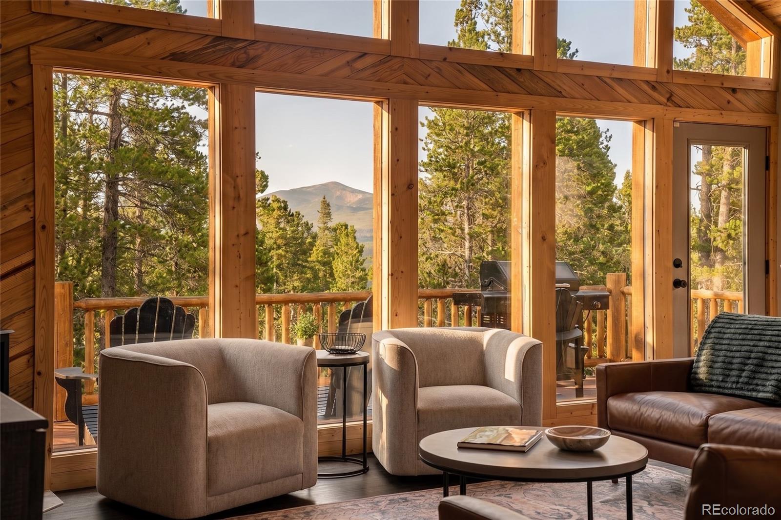MLS Image #7 for 1662  bobcat lane,fairplay, Colorado