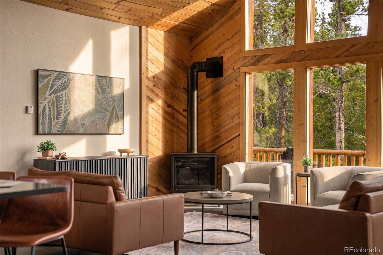 MLS Image #8 for 1662  bobcat lane,fairplay, Colorado