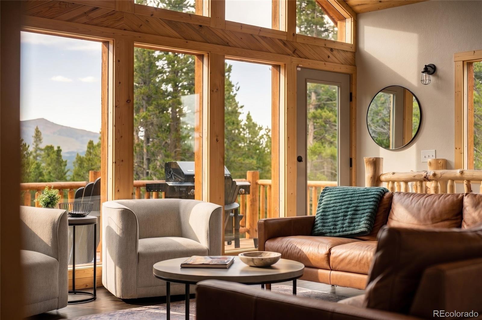 MLS Image #9 for 1662  bobcat lane,fairplay, Colorado