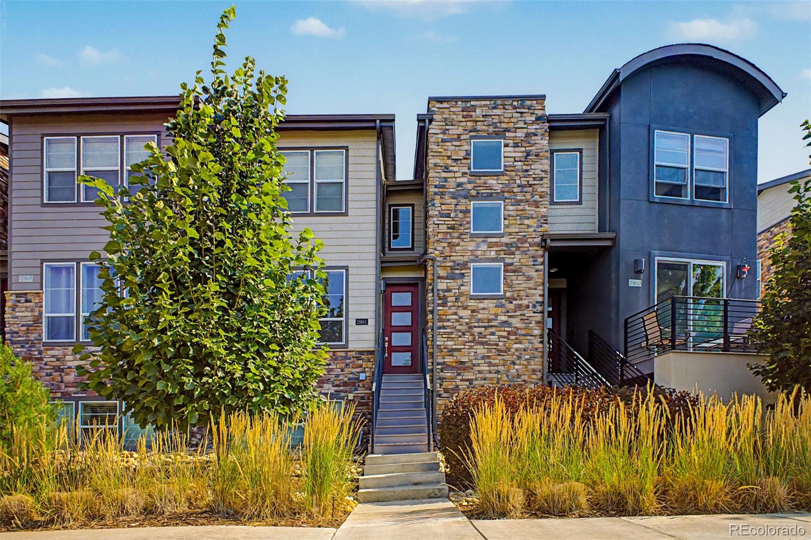 MLS Image #1 for 2586  meadows boulevard,castle rock, Colorado