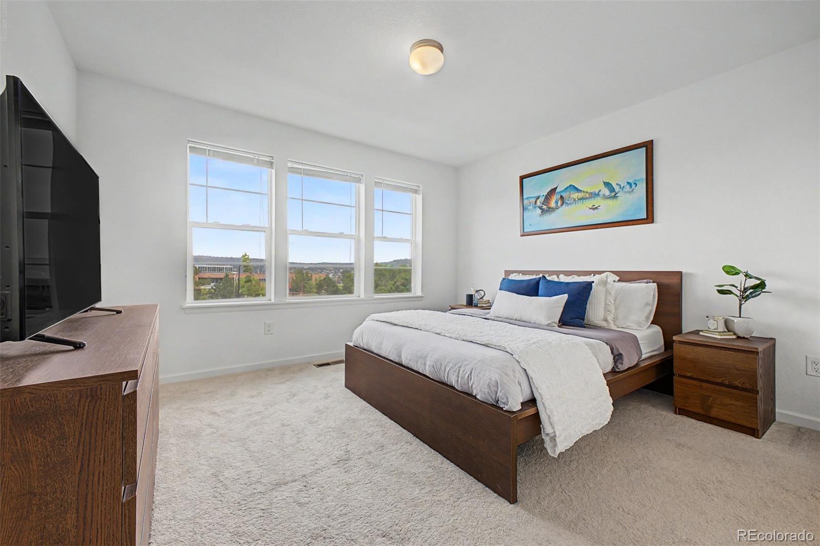 MLS Image #18 for 2586  meadows boulevard,castle rock, Colorado